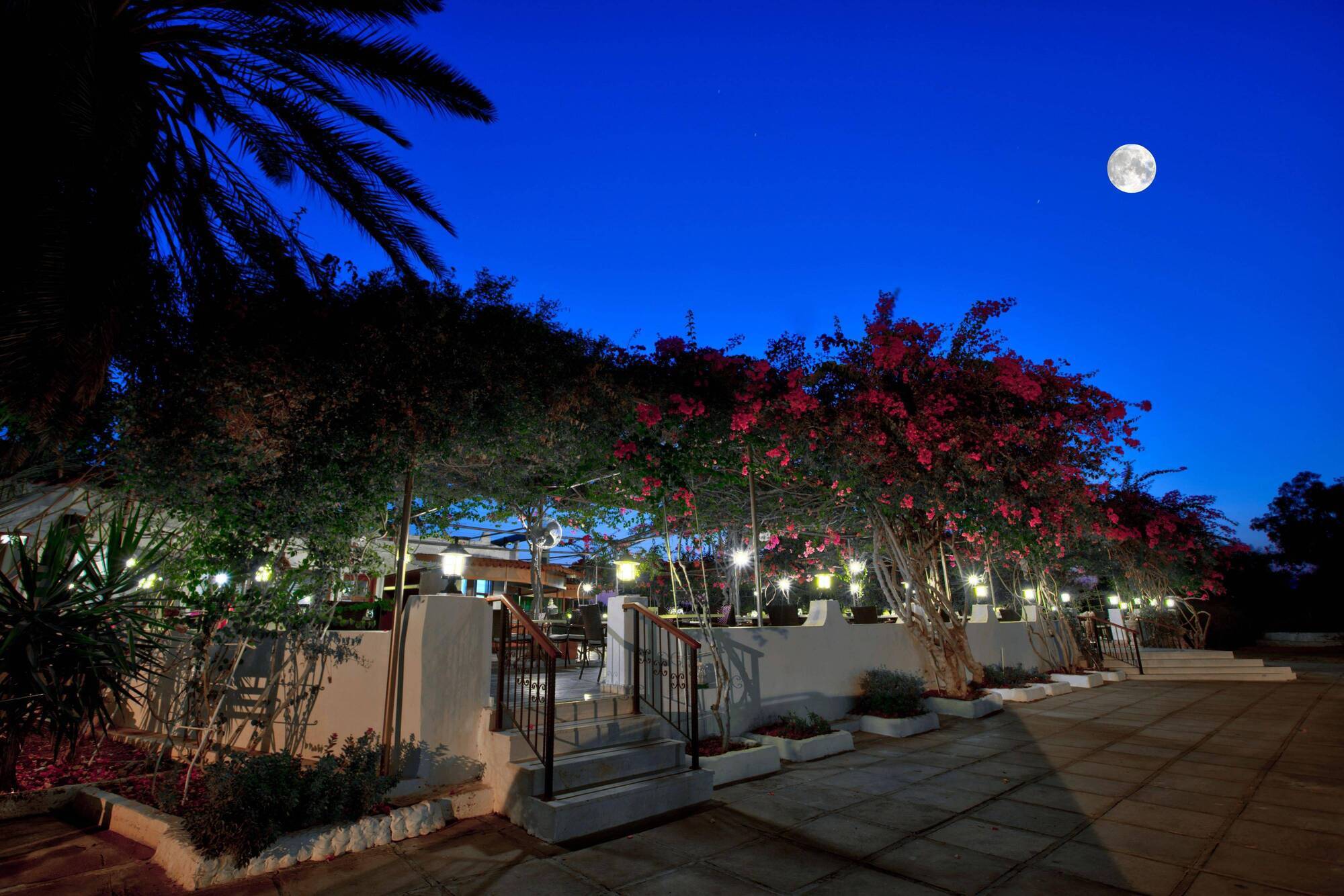 Merit Cyprus Gardens Holiday Famagusta  Eksteriør billede